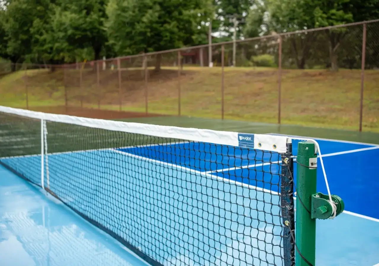 Blue tennis court with net and trees.